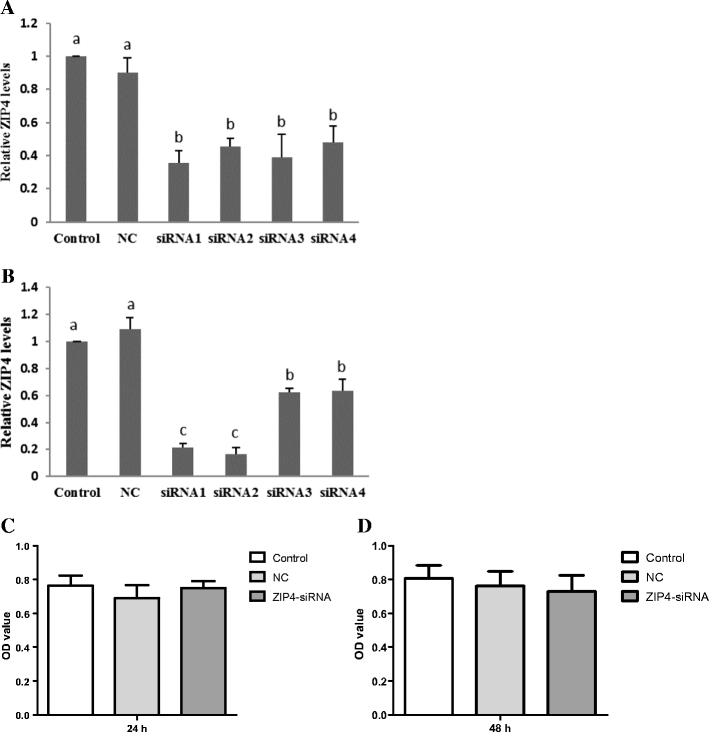 different zinc sources have diverse impacts on gene expression of open image in new window