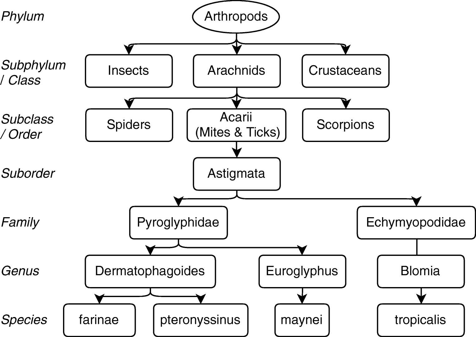 The Role of Dust Mites in Allergy SpringerLink