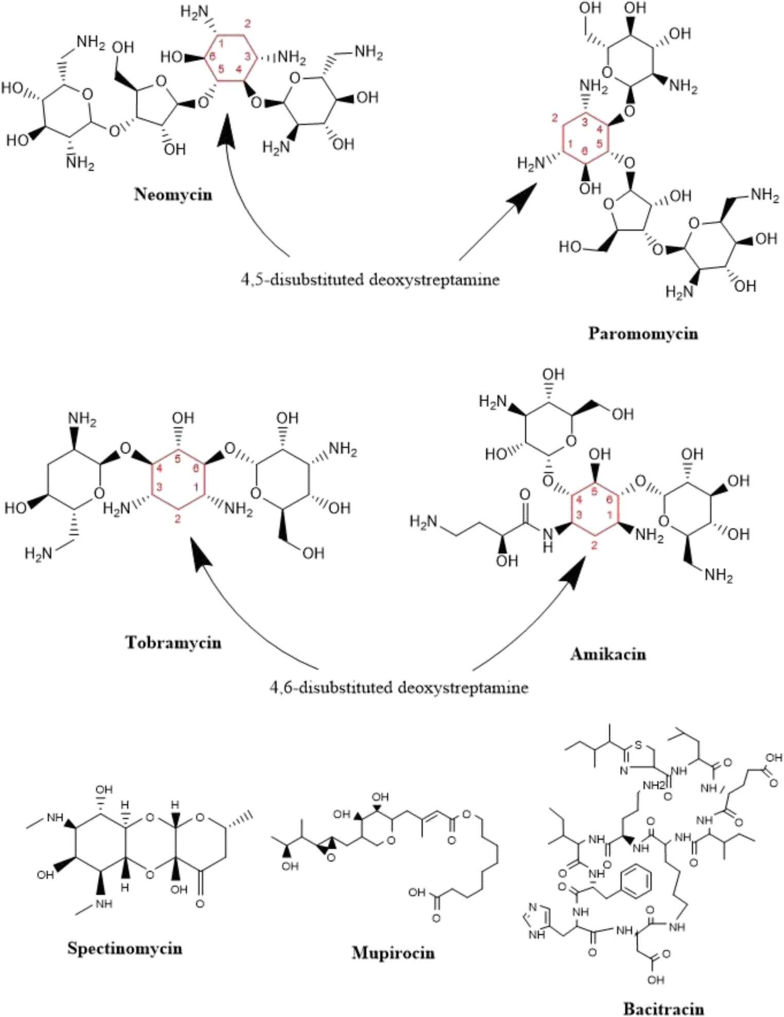 Contact Dermatitis To Medications And Skin Products Springerlink
