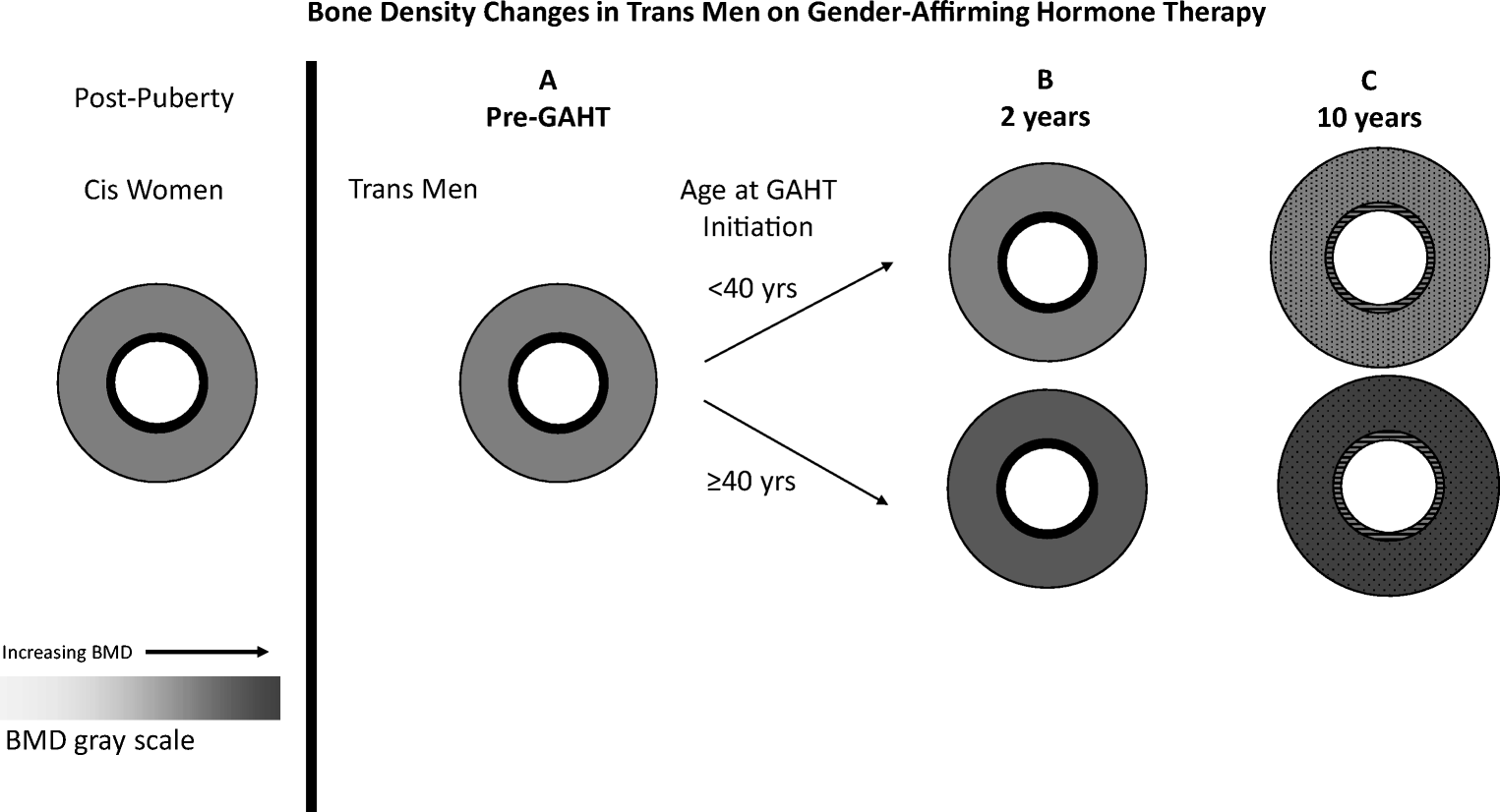 transgender auf der hrt homepage