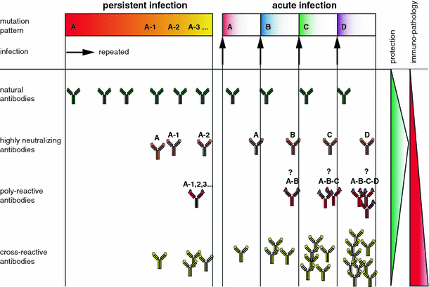 controls for antibody cross reactivity controls for antibody cross reactivity
