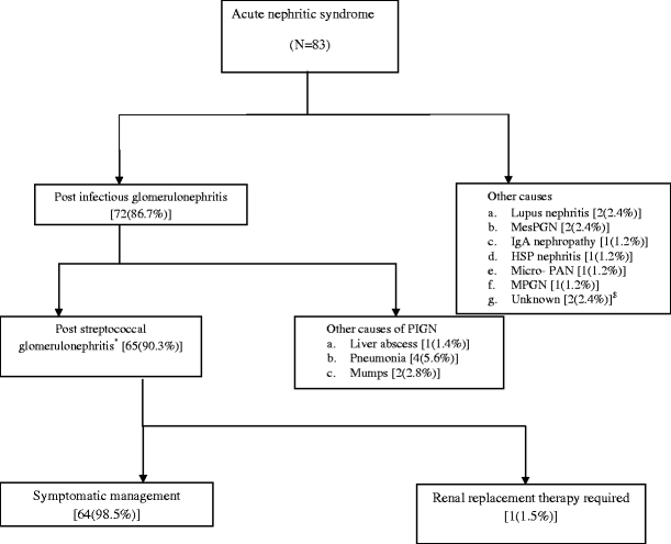 Glomerulonephritis case study pdf picture