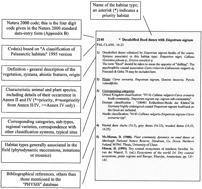 business management essay topics position