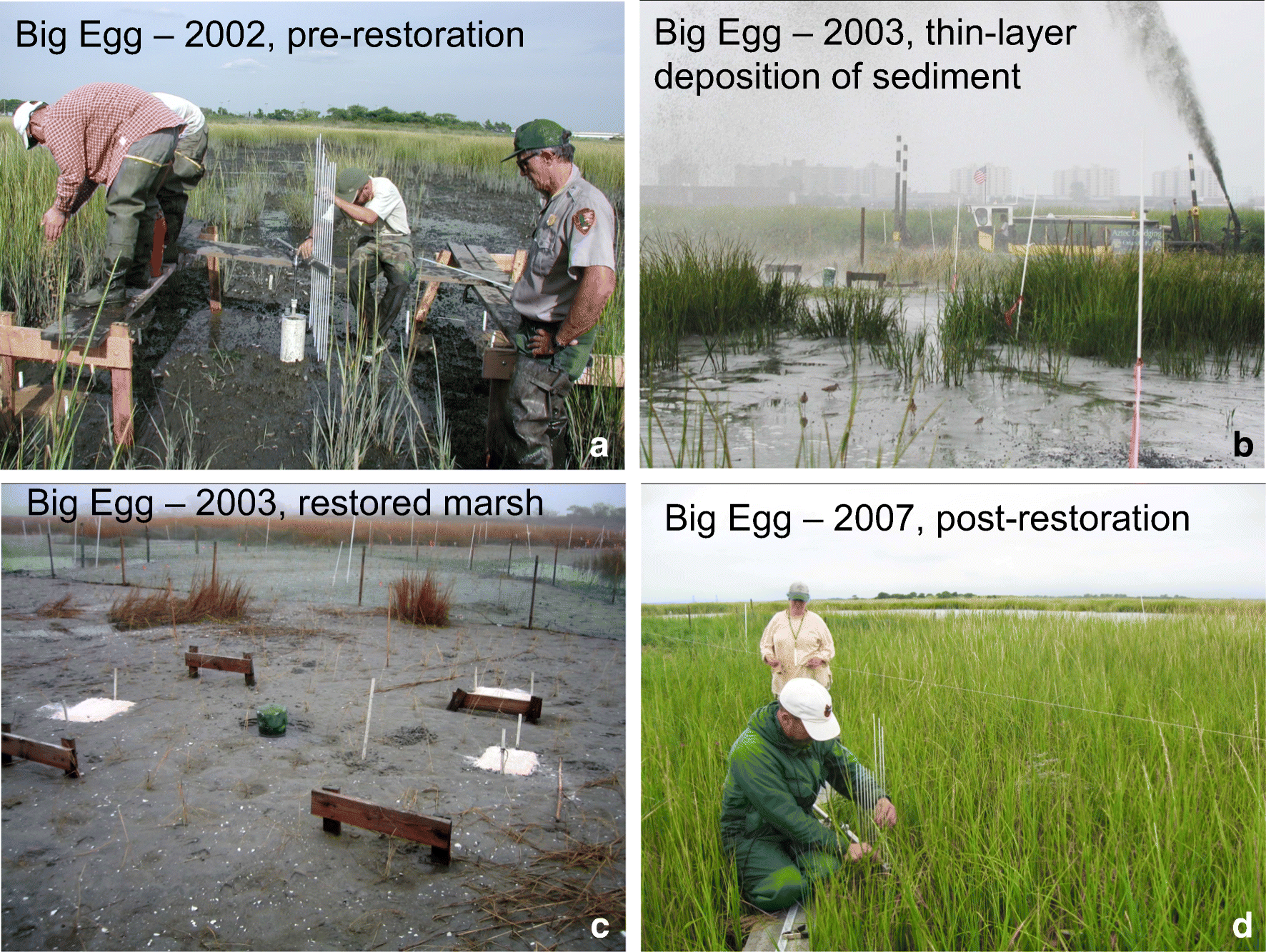 Signs Of Spring In Urban Wetland Little >> Evaluating The Relationship Among Wetland Vertical Development Signs Of Spring In Urban Wetland Little >> Evaluating The Relationship Among Wetland Vertical Development