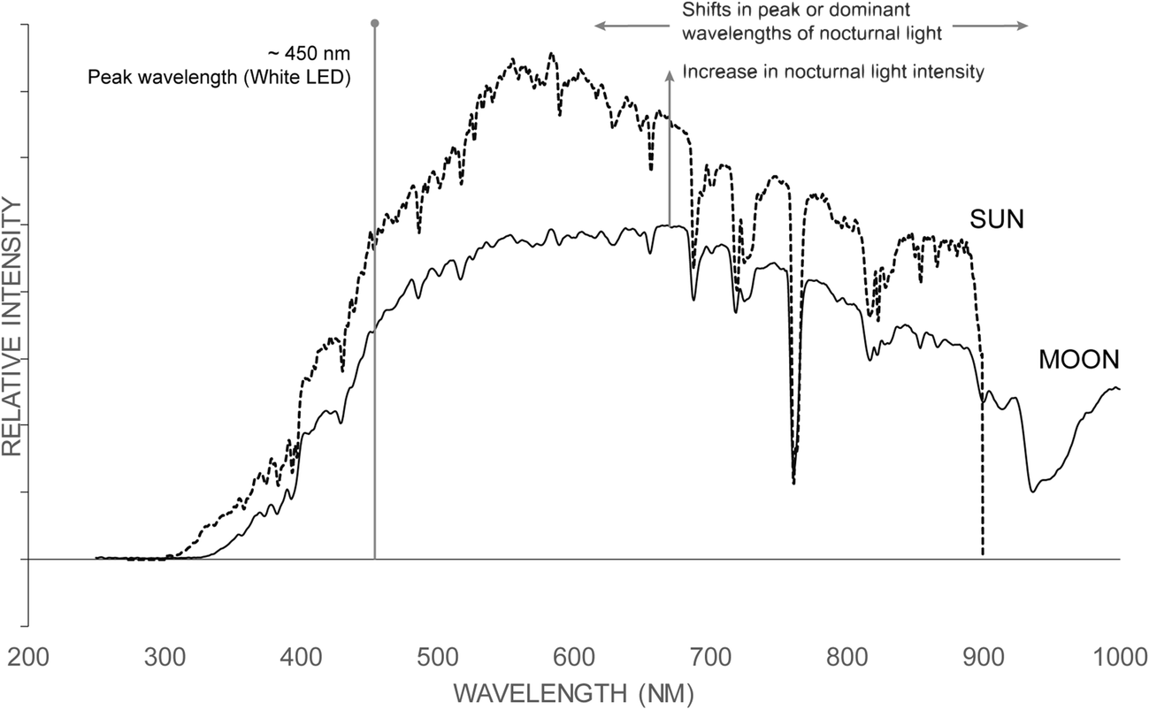 Artificial Lighting At Night In Estuaries Implications From Artificial Lighting At Night In Estuaries Implications From