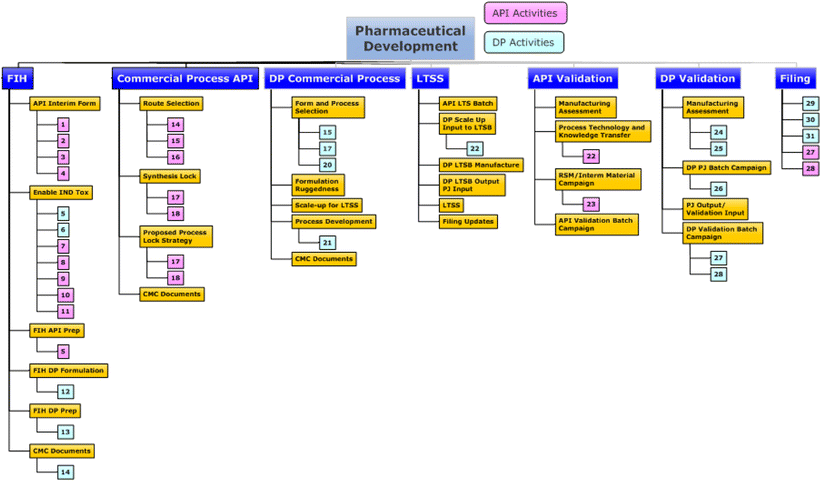 Bristol Myers Squibb Organizational Chart