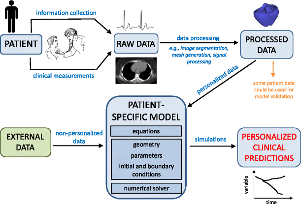 Patient Specific Cardiovascular Computational Modeling - 
