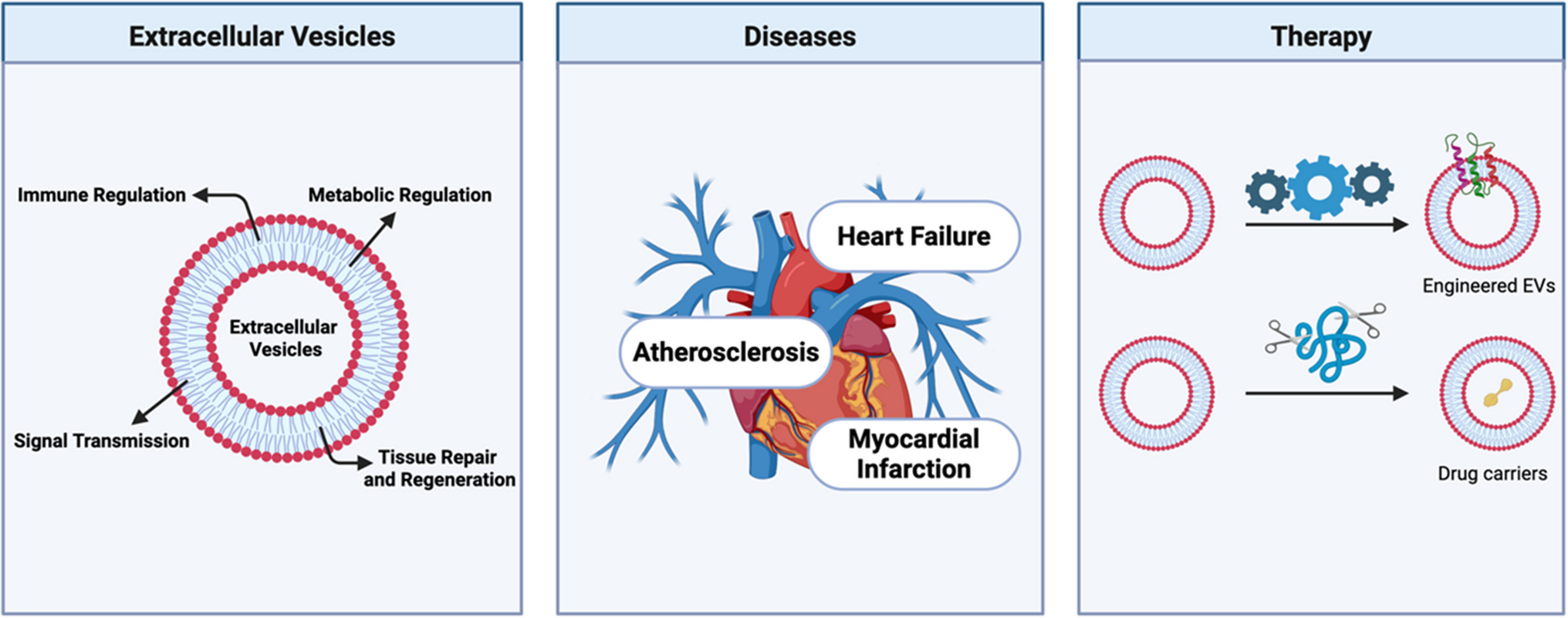 Biomarkers | Extracellular Vesicles in Cardiovascular Diseases ...