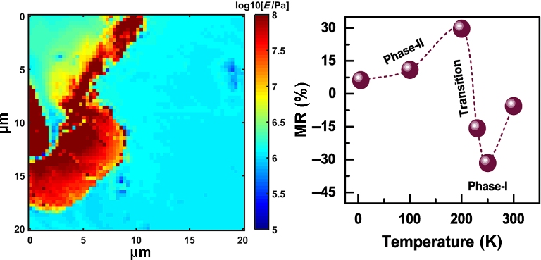 Large Unsaturated Room Temperature Negative