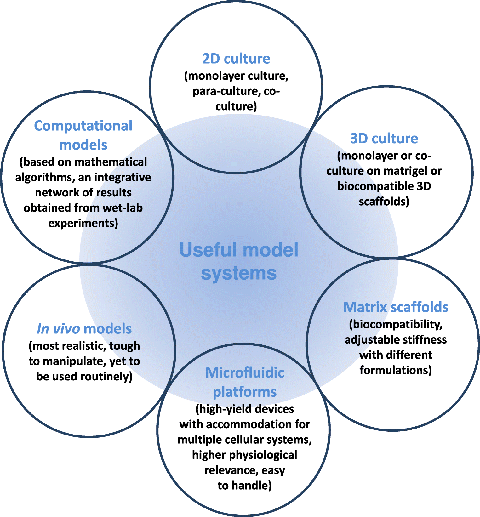 Mechanobiology Of Cancer Stem Cells And Their Niche - 