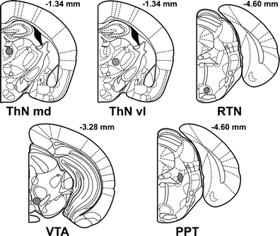 Glutamate Dysfunction Associated With Developmental Cerebellar Damage Relevance To Autism Spectrum Disorders Springerlink