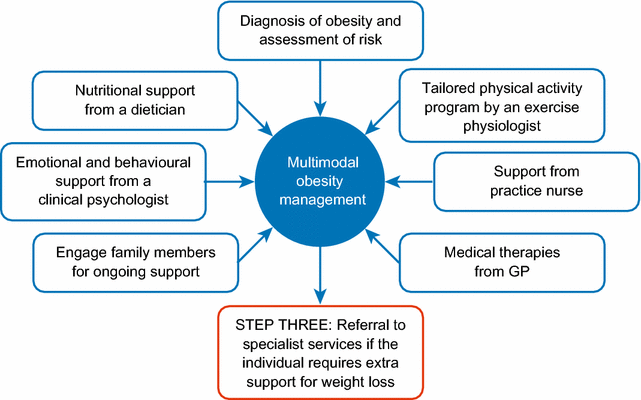 Managing Obesity In Primary Care Breaking Down The Barriers Springerlink