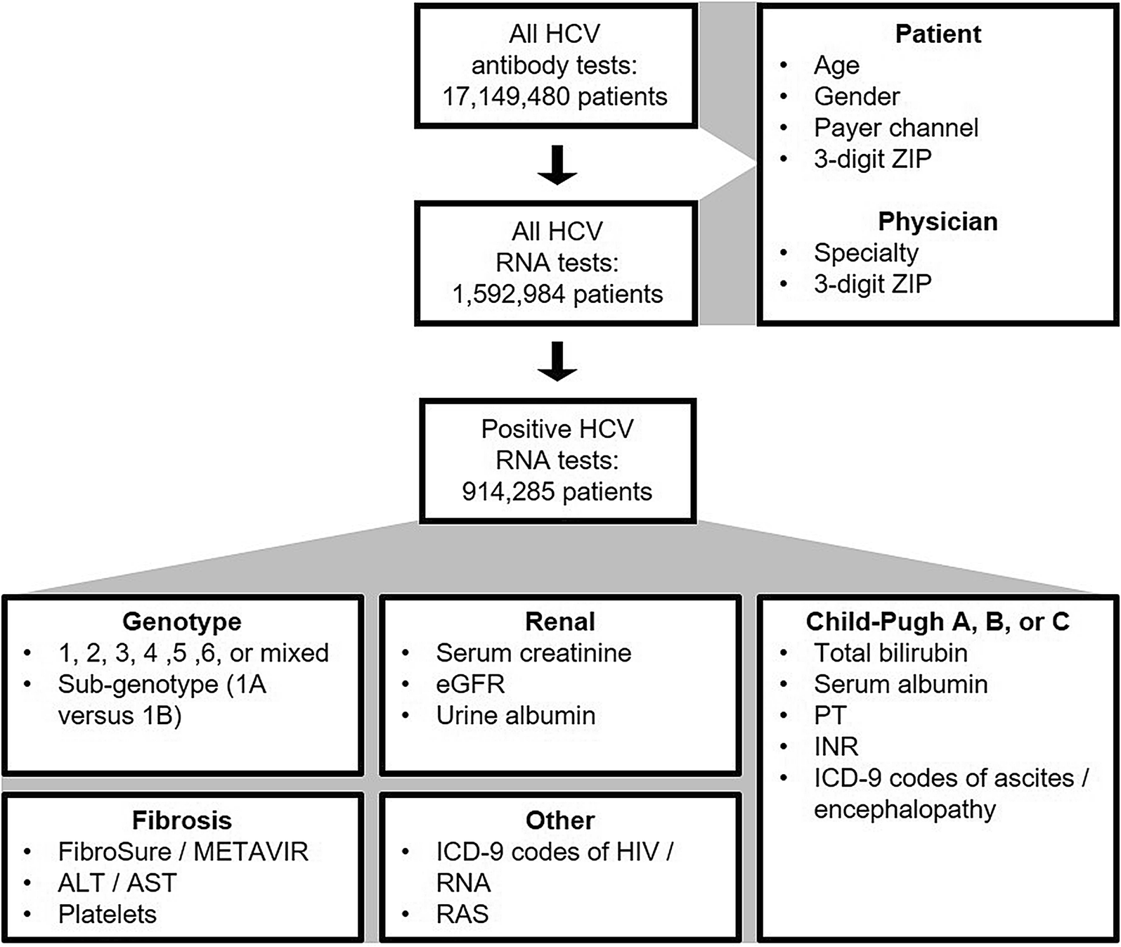 Development Of A Comprehensive Dataset Of Hepatitis C Patients And