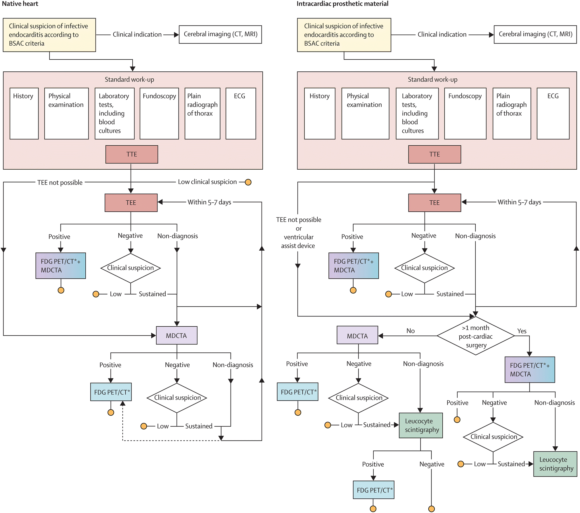 Pathophysiology Of Endocarditis In Flow Chart