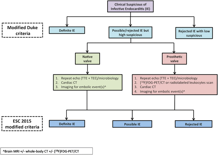 Pathophysiology Of Endocarditis In Flow Chart