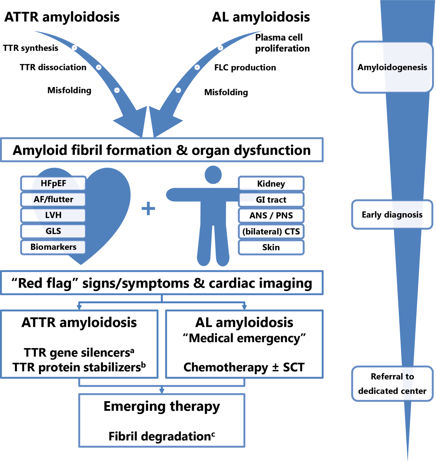 Cardiac amyloidosis the need for early diagnosis