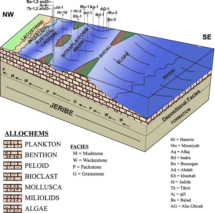 oolite depositional environment oolite depositional environment