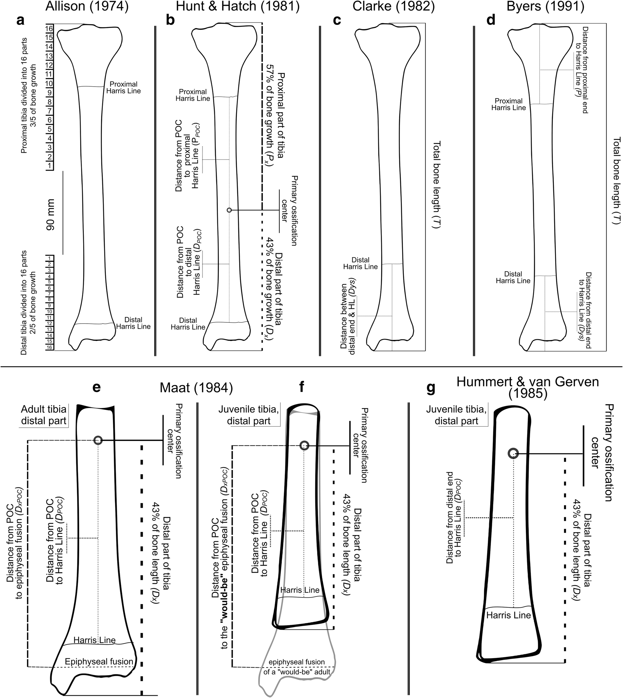 Growth Plate Closure Chart