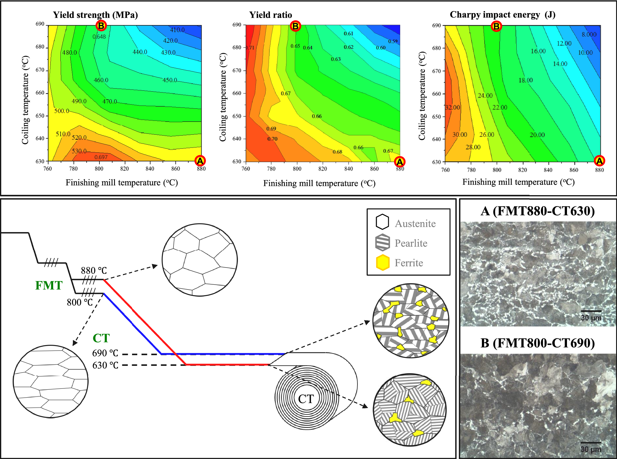 Effect of Rolling and Coiling Temperatures on Microstructure and