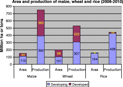 Crops That Feed The World 6 Past Successes And Future - 