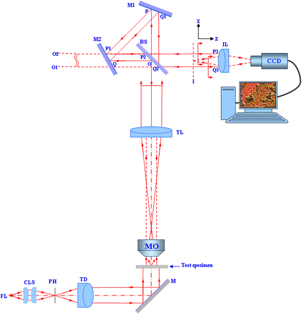 Unpolarized light transmission DIC microscope SpringerLink