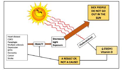 Vitamin D Does The Emperor Have No Clothes Springerlink