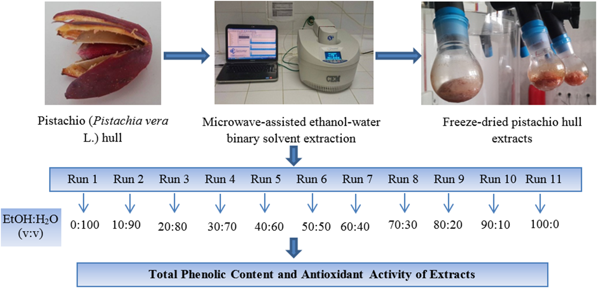 Pistachio ( Pistacia vera L.) Hull as a Potential Source of Phenolic