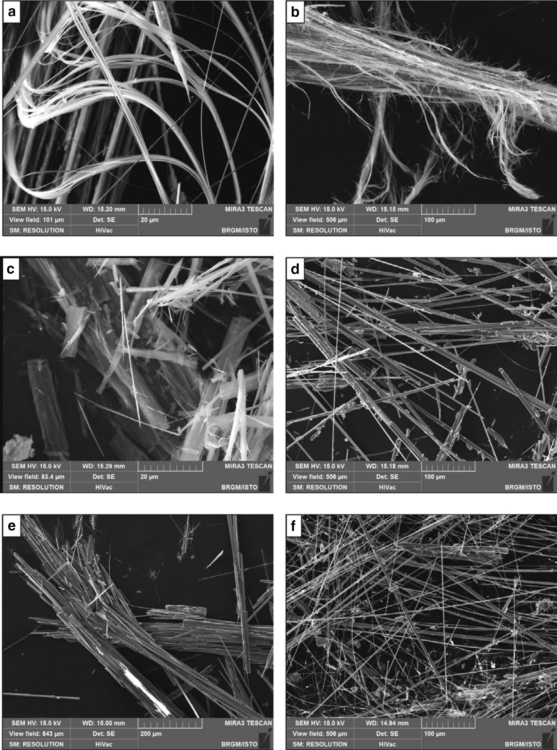 Naturally Occurring Asbestos In An Alpine Ophiolitic Complex - 