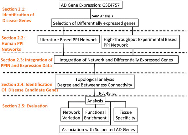Genes Impact Suspect Cortex Areas More >> Investigating The Impact Human Protein Protein Interaction Networks Genes Impact Suspect Cortex Areas More >> Investigating The Impact Human Protein Protein Interaction Networks