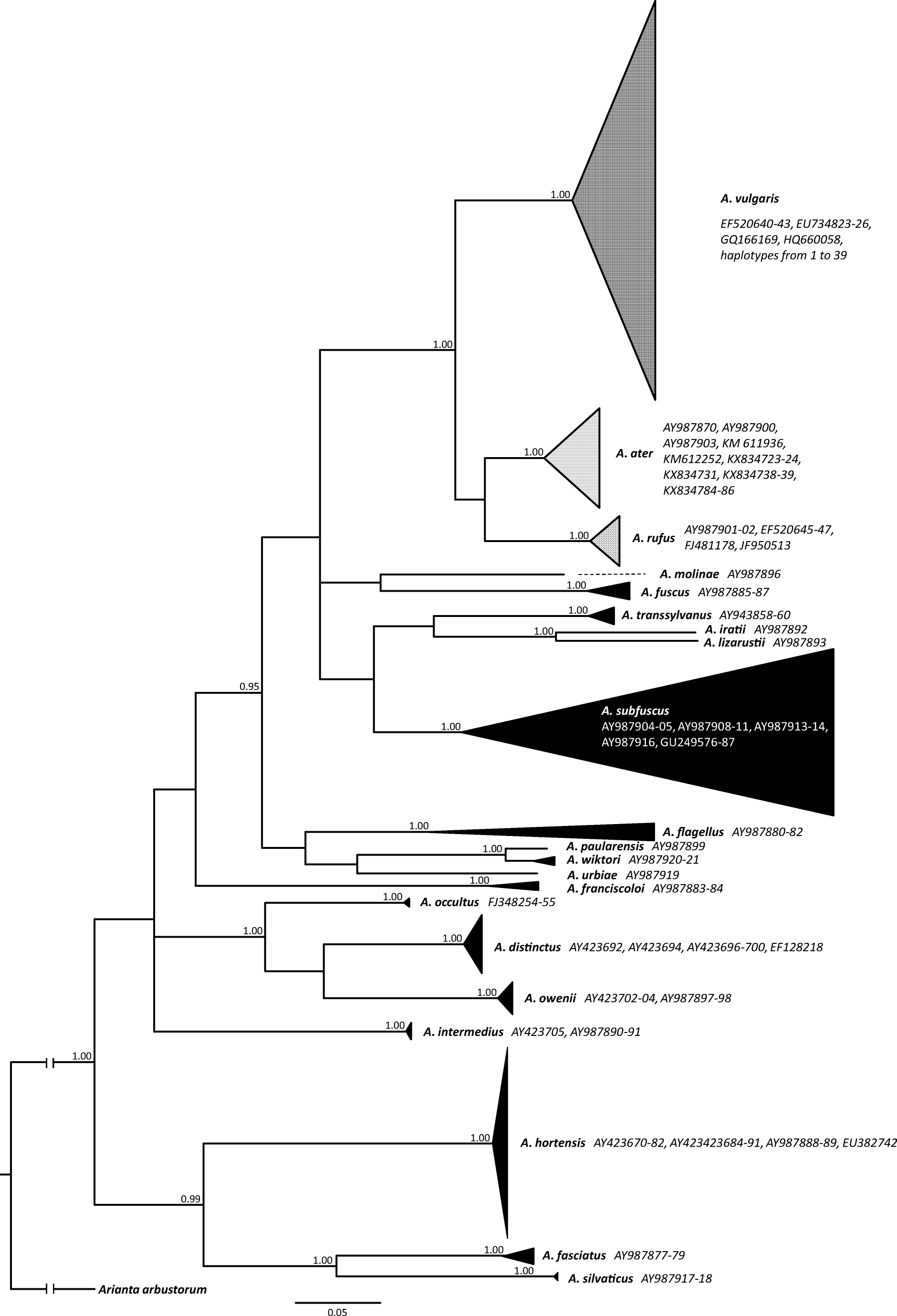 A Comprehensive Phylogeographic Study Of Arion Vulgaris Moquin