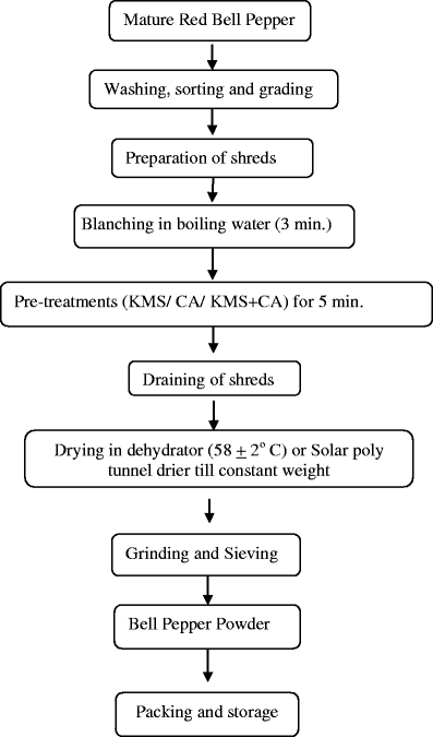 Pepper Processing Flow Chart