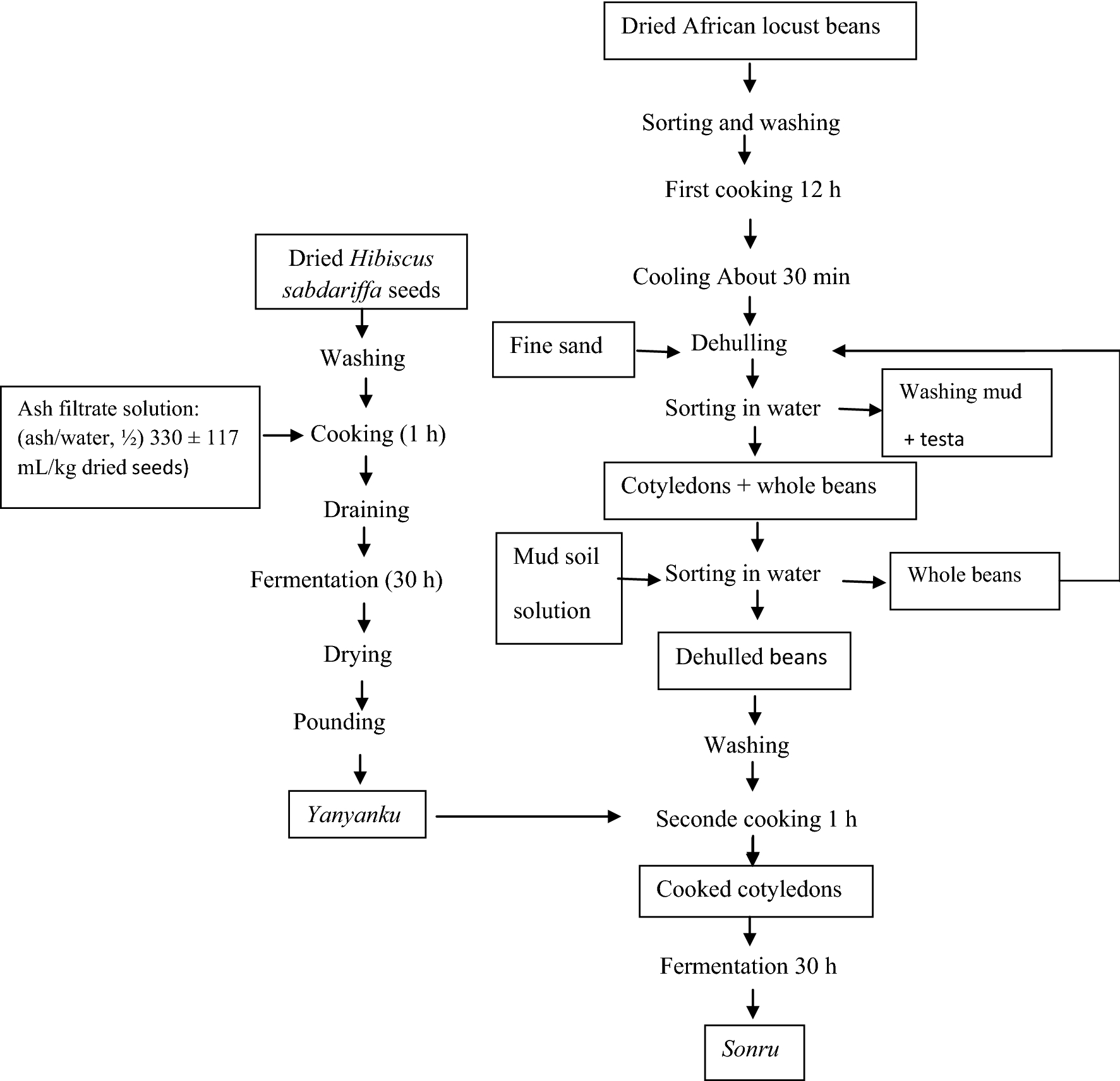 Bergey S Manual Online Flow Chart