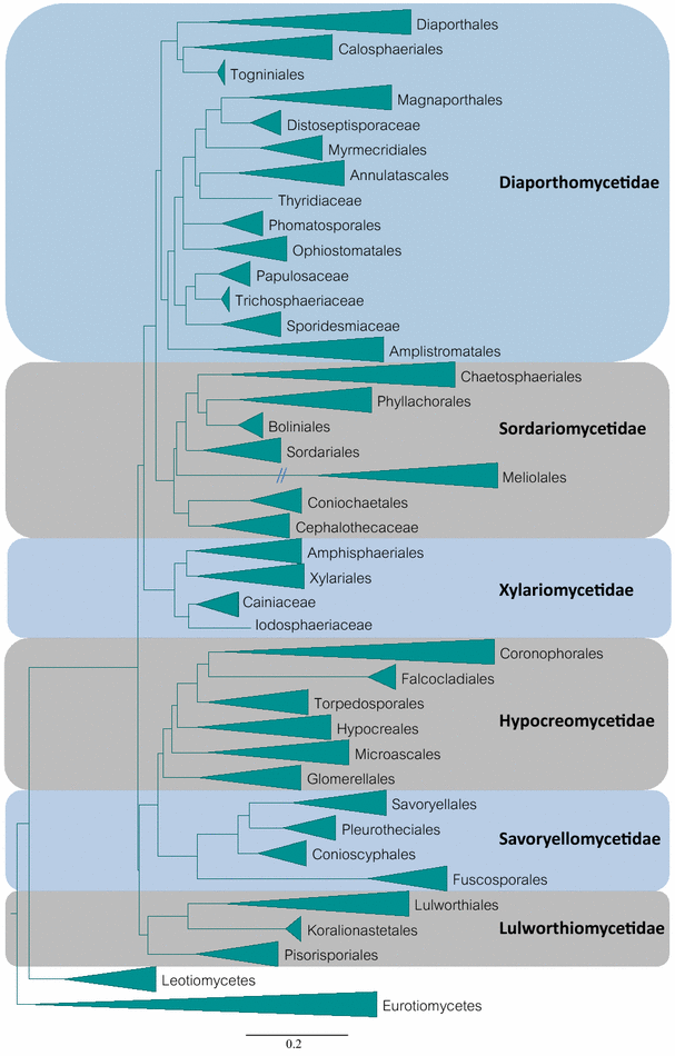 An updated phylogeny of Sordariomycetes based on and