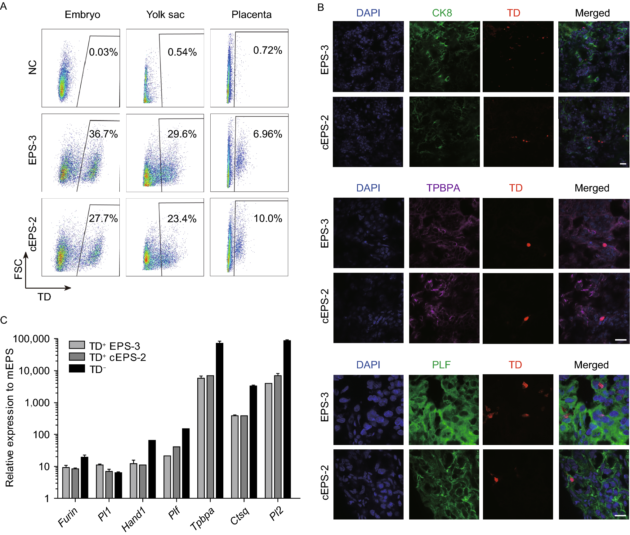 Efficient derivation of extended pluripotent stem cells from NOD- scid ...