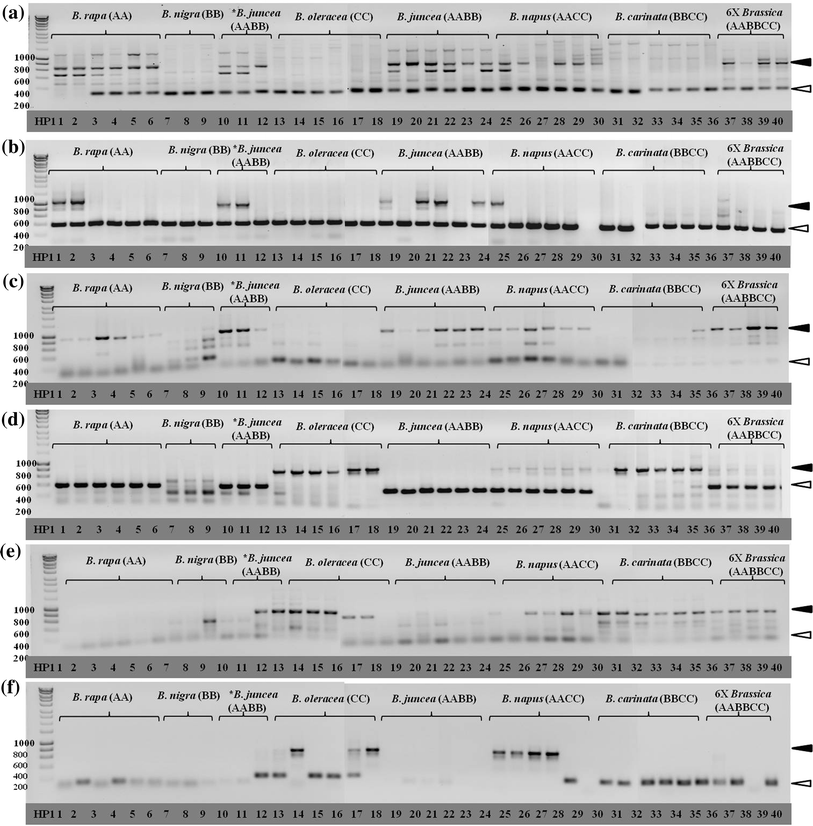 Home · Tomindo Musical Learning Table 1088; Page - 4. Open image in new