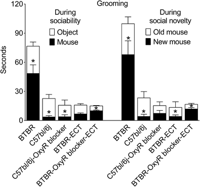 Treatment Restores Sociability In >> Autism Like Behavior In Btbr Mice Is Improved By Electroconvulsive Treatment Restores Sociability In >> Autism Like Behavior In Btbr Mice Is Improved By Electroconvulsive