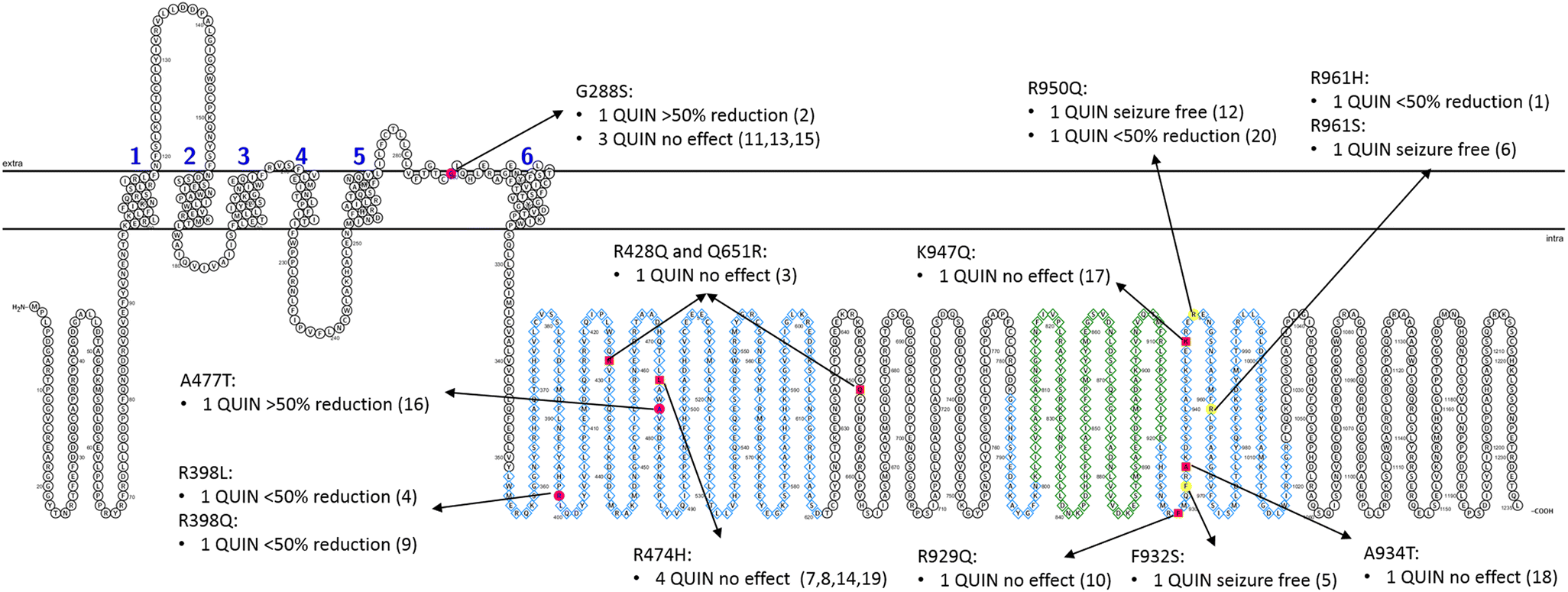 Treatment Responsiveness In Kcnt1 Related Epilepsy Springerlink