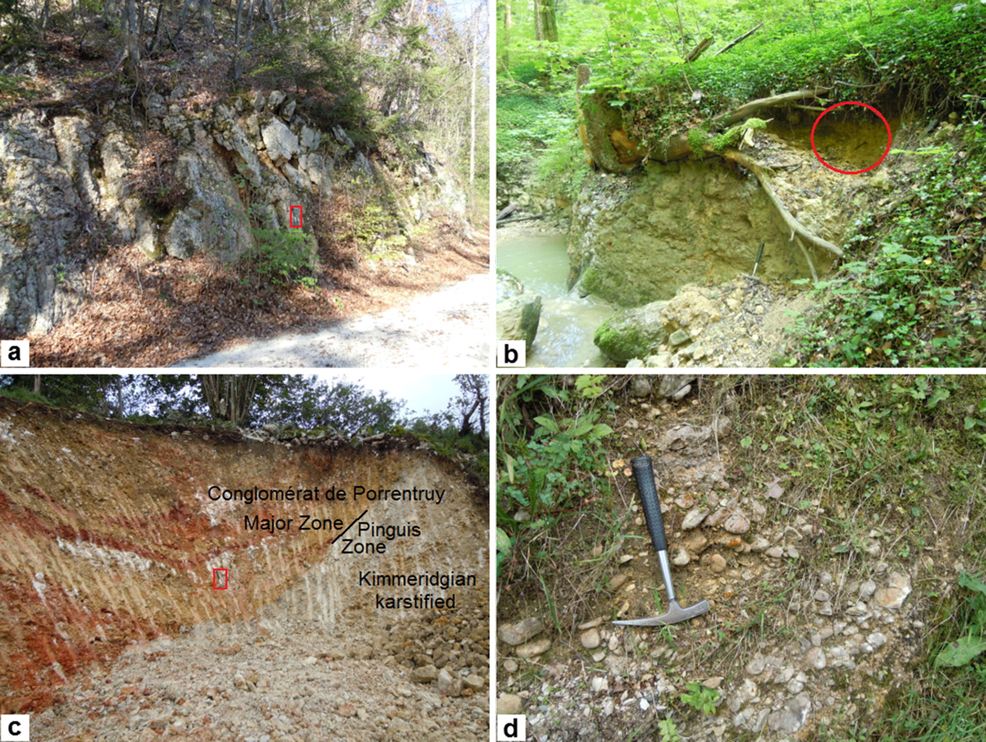 New Data On The Biostratigraphy Charophytes Nannofossils - 