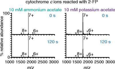 charging of proteins in native mass spectrometry springerlink ammonium acetate buffer