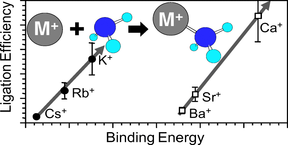 Ligation Kinetics As A Probe For Non Covalent Electrostatic