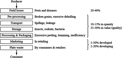 Pesticide Productivity And Food Security A Review - 