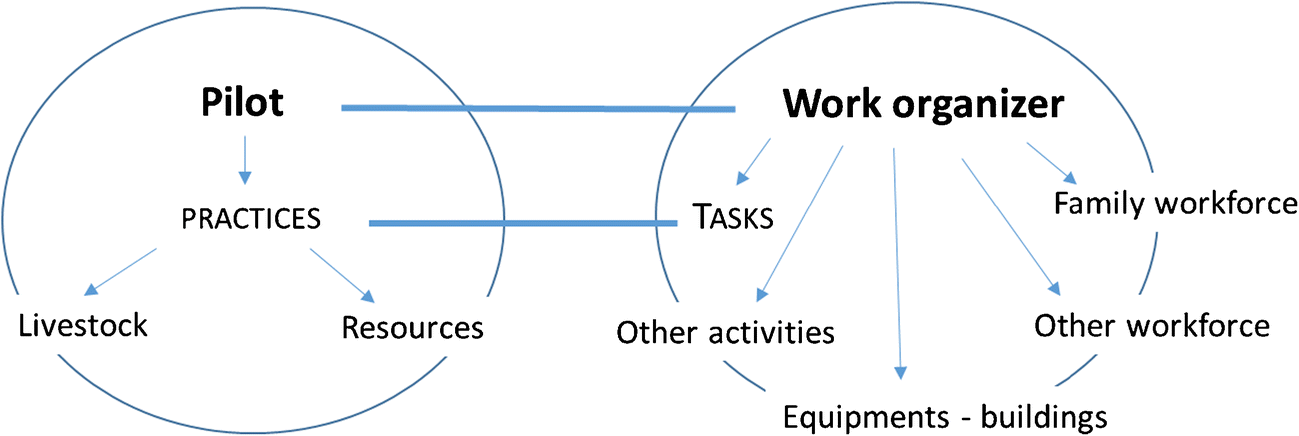 Analyzing Work Organization On Livestock Farm By The Work - 