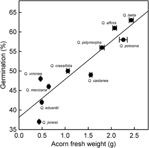 Types Of Acorns Chart