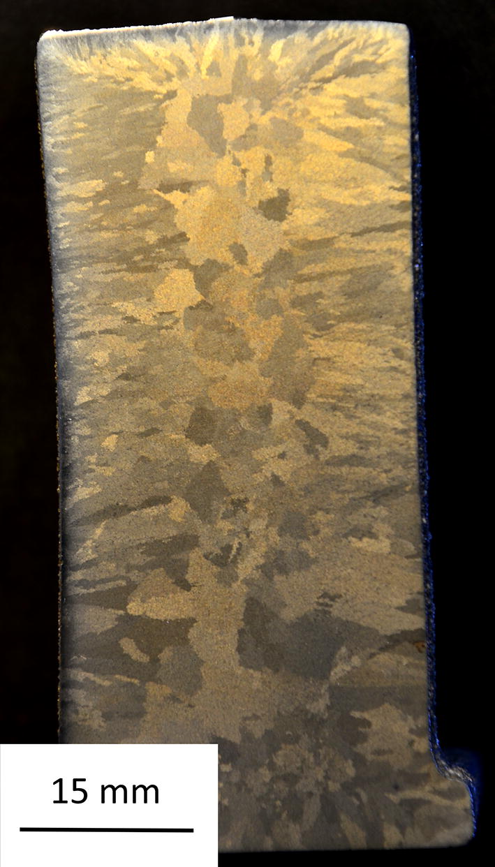 EBSD Analysis of the Primary Austenite Grains in Lamellar Graphite Cast