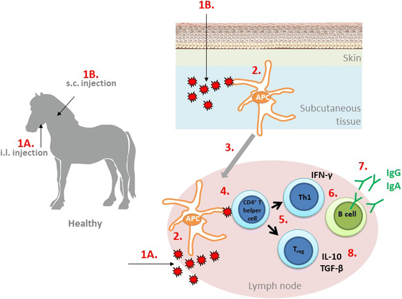 New Strategies for Prevention and Treatment of Insect Bite