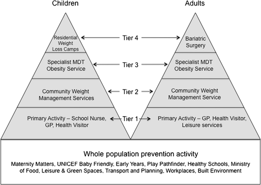 Dissertation services in uk obesity