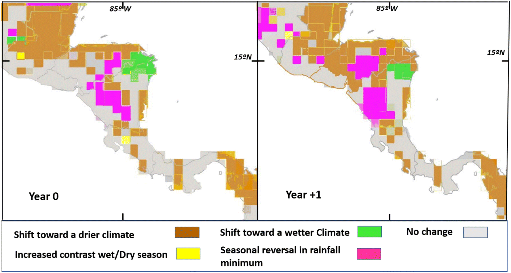How a bunch of orange peels changed the ecosystem in Central America How a bunch of orange peels changed the ecosystem in Central America
