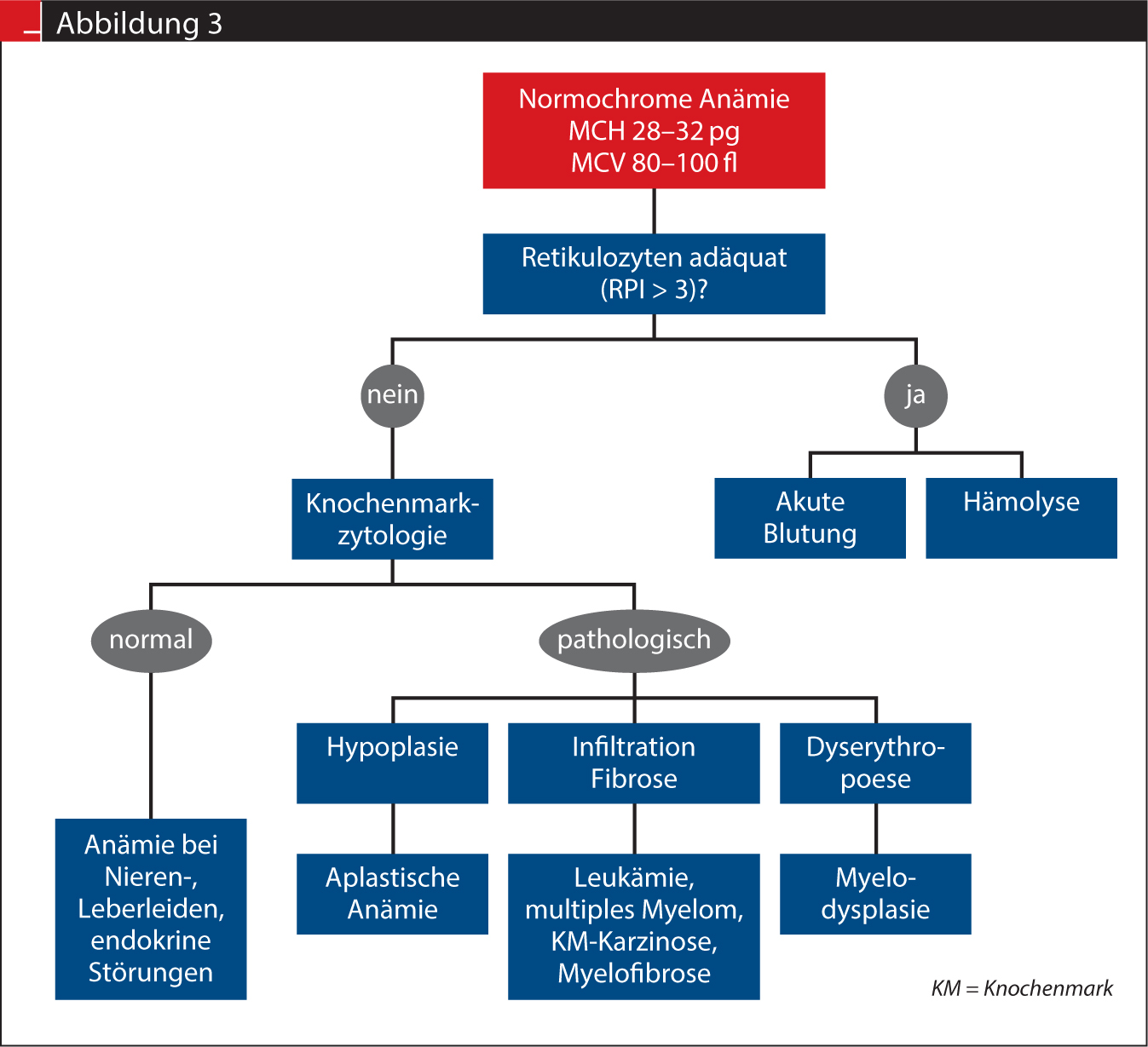 Warum Bin Ich So Blass Warum ist Ihr Patient so blass? | SpringerLink