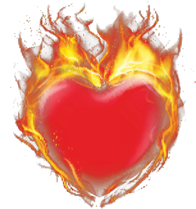 Herz In Flammen Springerlink