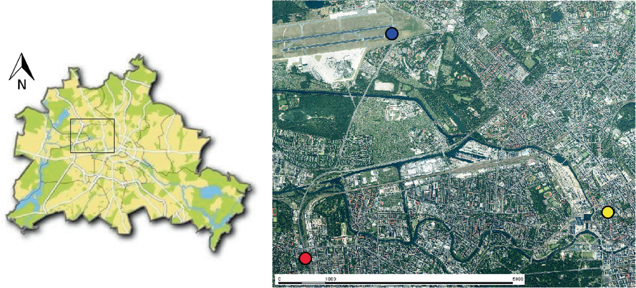 Birch Grass And Mugwort Pollen Concentrations And Intradiurnal Patterns At Two Different Urban Sites In Berlin Germany Springerlink
